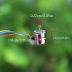 Slide image a24cd58046f0467ea0ff40ccc09ce754