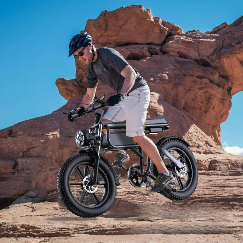 Description Picture 4 of itemE-bike lightweight magnesium alloy men and women commuting adult lithium battery mountain off-road snow bike