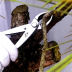 Slide image ad08fa750a534e25bf96f0bf2c46b1b4