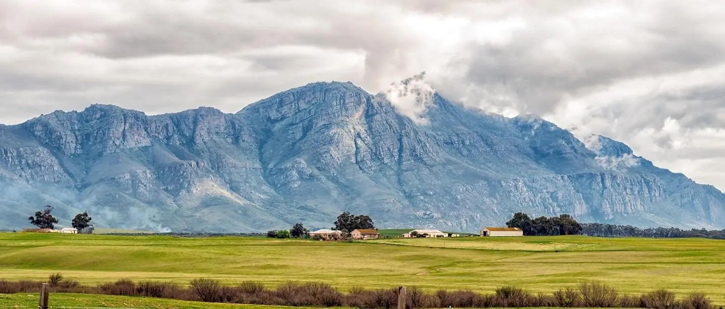 Description Picture 2 of itemby HiEnd Accents Rustic Bear 16 Piece Ceramic Dinnerware Set with Plates, Bowls and Mugs, Rustic Cabin Lodge Style