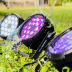 Slide image e21ab960e92b4fe68f964070ec9d502e