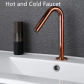 hot cold rose gold S