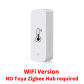 WiFi Version