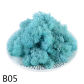 B05