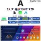4G 32G Wireless Carp