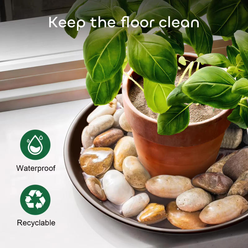 Description Picture 5 of item6 Packs Plant Saucer Plant Drip Trays, Plastic Plant Trays Pots, Heavy Duty Pot Drip Trays Indoors Outdoor