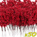 Slide image 21cc54b22f3c4e43934791f603e048e7