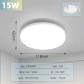 15W White Lamp