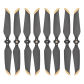4pair Gold Edge