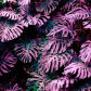 SY00013