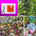 Slide image f4be2771aeaa44248b9d8c5881792ee8