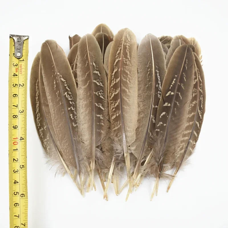 Description Picture 5 of itemNatural Pheasant Feathers for Crafts Feather Dream Catcher Jewelry Handicrafts Accessories Plumes Decoration Diy Craft Supplies