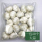 White Garlic 3.5x4cm