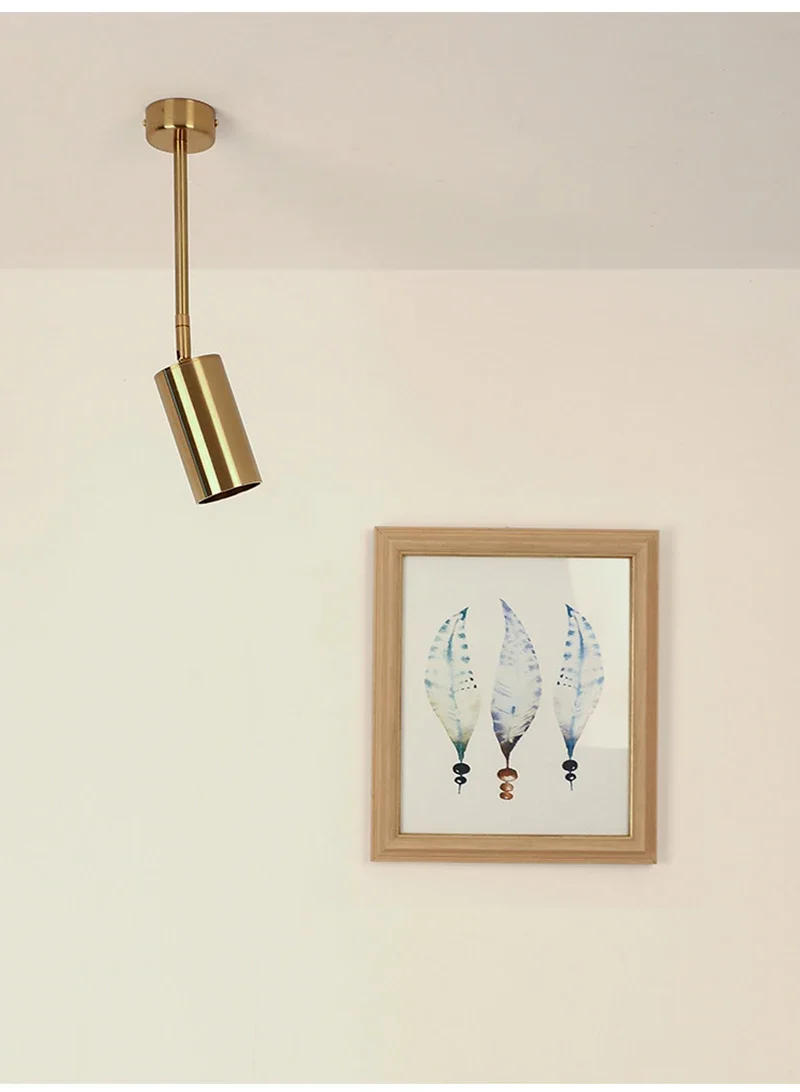 Description Picture 5 of itemSANDYHA Nordic Modern Simple Lighting Style 360 Degree Rotating Spotlight Surface Mounted Gold Ceiling LED Pendant Wall Lamps