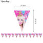 12pcs pennant