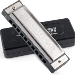 Harmonica Senior Bruce 10 Hole BLUES with Case Brass Stainless Steel