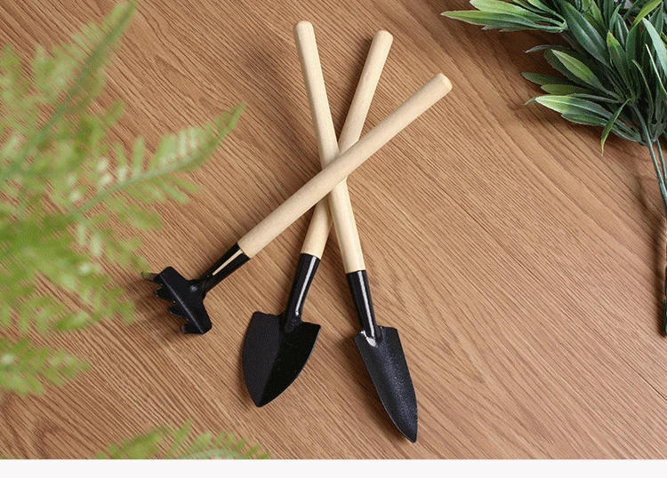 Description Picture 2 of item3pcs Set Mini Gardening Potting Tools Wooden Handle Shovel Rake Shovel Multifunctional Household Plant Bonsai Tools