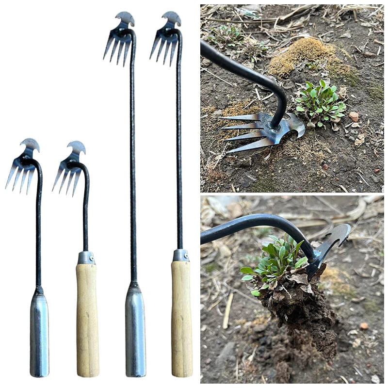 Description Picture 2 of item2 in 1 Garden Weeder Tools 4 Teeth Rake Manual Weed Grass Rooting Shovel Manganese Steel Loosening Soil Digging Garden Hand Tool