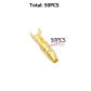 50Pcs Male
