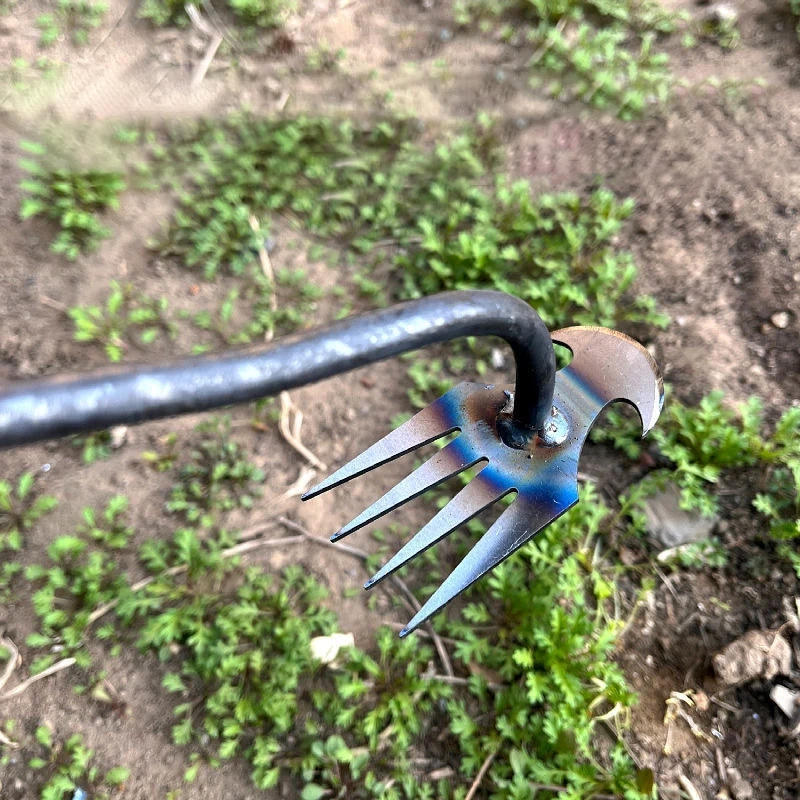Description Picture 3 of item2 in 1 Garden Weeder Tools 4 Teeth Rake Manual Weed Grass Rooting Shovel Manganese Steel Loosening Soil Digging Garden Hand Tool
