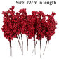 Red(22cm)