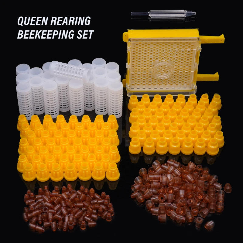 Description Picture 5 of itemQueen Bee Rearing Kit Nicot Germany Jenter Bee Queen Rearing System Queen Bee Cell Cups Larva Move Cage For Beekeeper Supplies