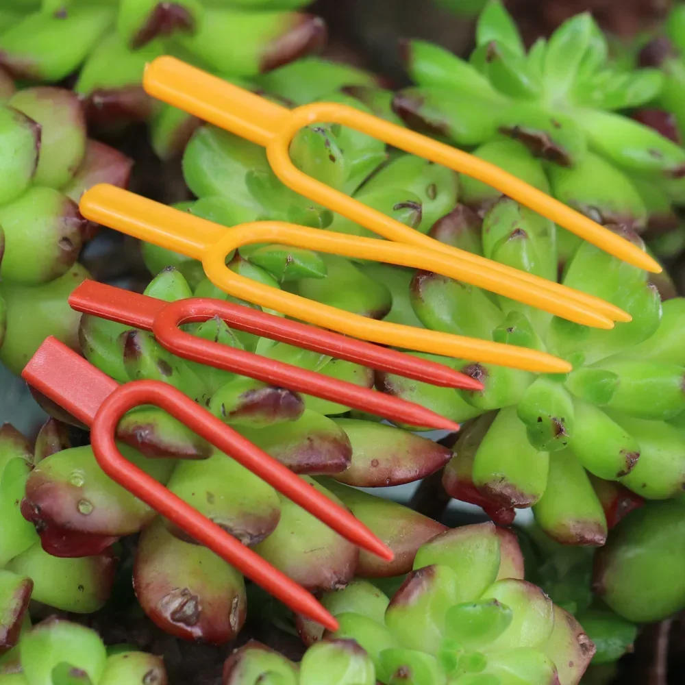 Description Picture 4 of item100PCS plant stem fixator, garden strawberry planting fork, watermelon fixing fixture, clamp, plant bracket