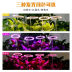Slide image ba6e8e887475487b8061b22b9ed3bdf6