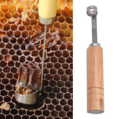 Beekeeping BeeHive Tools Beehive Cleaning Scraper Functional Honey Remover Beekeepers Supplies Beekeeper Garden Equipment