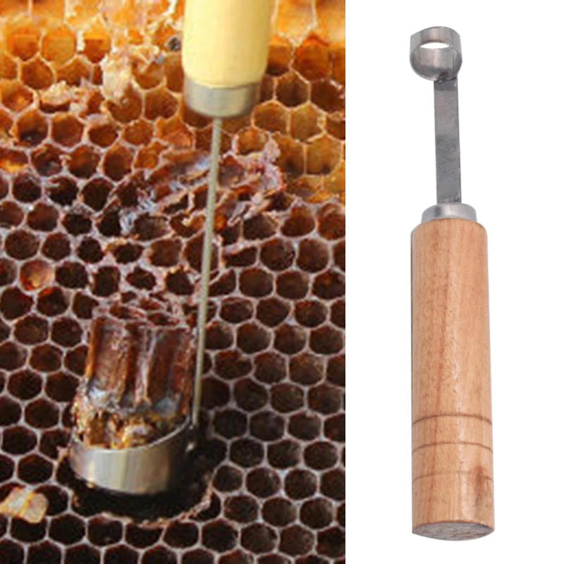 Description Picture 2 of itemBeekeeping BeeHive Tools Beehive Cleaning Scraper Functional Honey Remover Beekeepers Supplies Beekeeper Garden Equipment