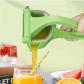 Round Juicer