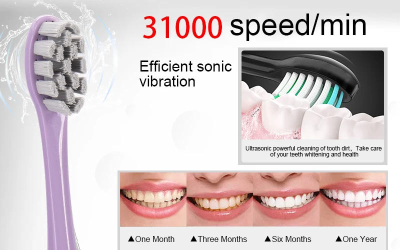 Description Picture 3 of itemSonic Electric Toothbrush USB Rechargeable IPX7 Waterproof Ultrasonic Teeth Whitening Brushes 8 Replacement Heads Sarmocare S100
