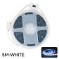White-5M
