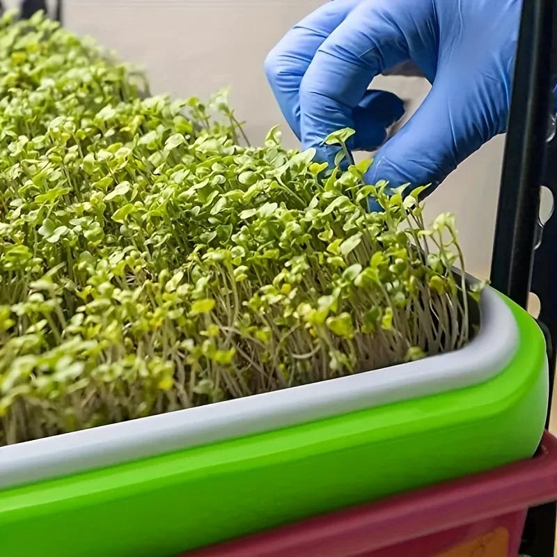 Description Picture 5 of itemHome Seed Germination Tray Seedling Planting Pot Wheatgrass Cultivation Soilless Tray for Gardening And Agriculture