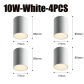 10W-White-4PCS