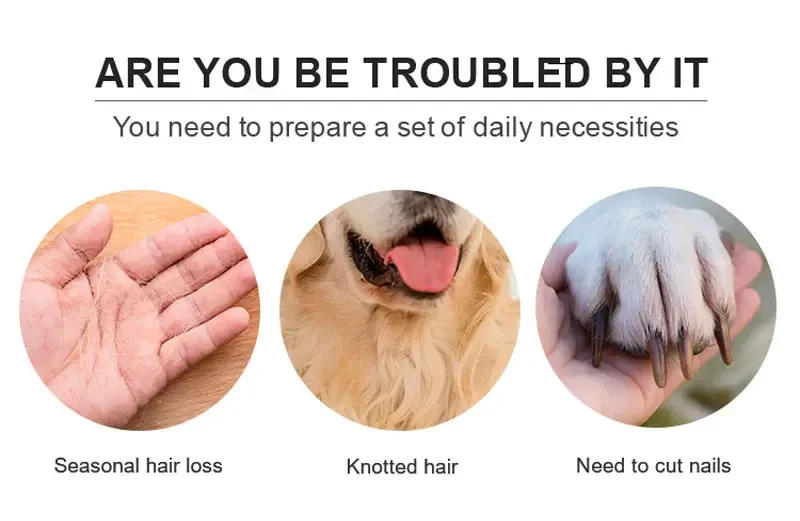 Description Picture 5 of itemProfessional Dog Brush Grooming Set for Dogs & Cats Grooming Set 6 Pieces Cat massage Brush, Dematting Brush, Undercoat Brush