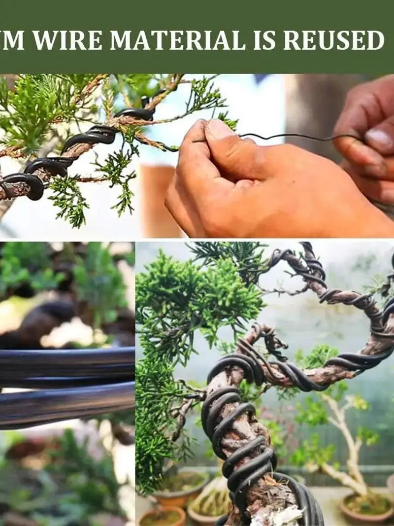 Description Picture 2 of item5m/10m Bonsai Wire Plant Support Anodized Aluminum Bonsai Training Wire For Plant Shapes Garden Accessories