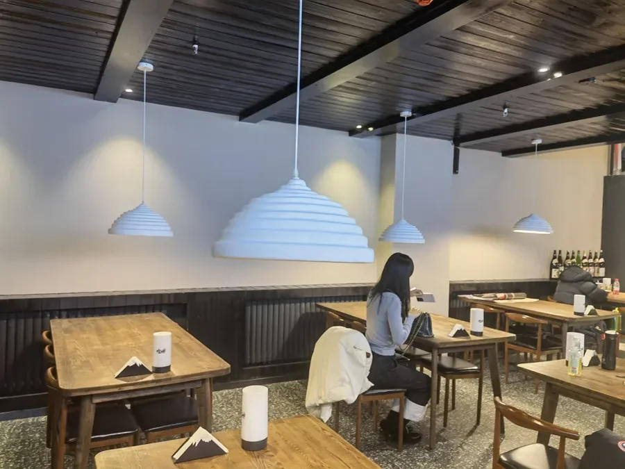 Description Picture 3 of itemRestaurant Wabi Sabi Personality Pendant Light Dining Island Art LED Chandelier Modern Cafe Bar Study Bedroom Decor Hanging Lamp