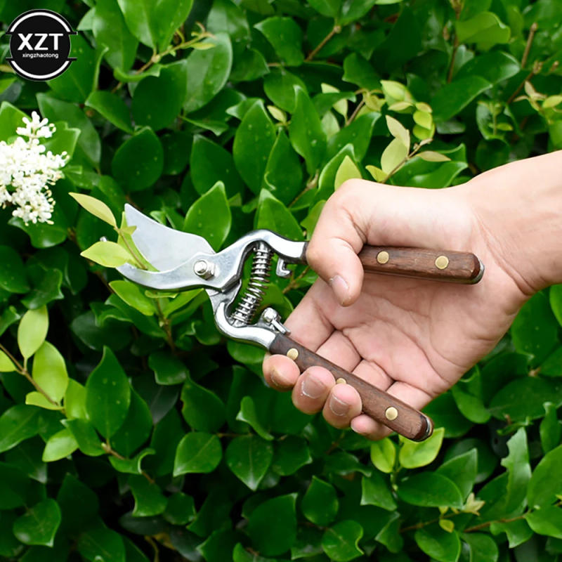 Description Picture 3 of itemEasy to Operate Lightweight Wooden Handle Pruning Floral Garden Tree Branch Trim Scissors Bonsai Hand Tools 21x5.5cm New Pruners