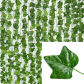 Creeper leaf