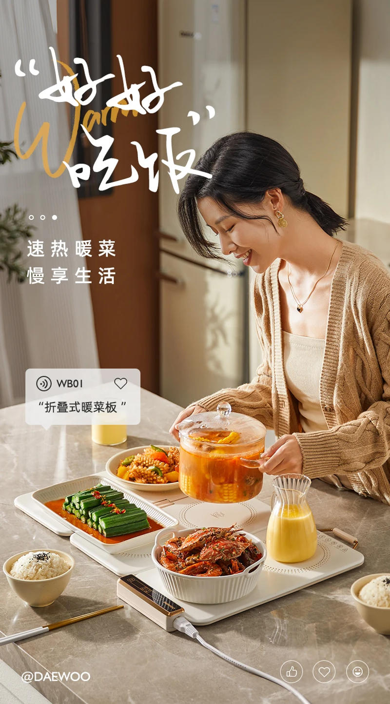 Description Picture 3 of item220V Electric Plate for Heating and Keeping Food and Beverages Warm