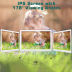 Slide image d0fba13a8d9d420ca71cd263079deee1