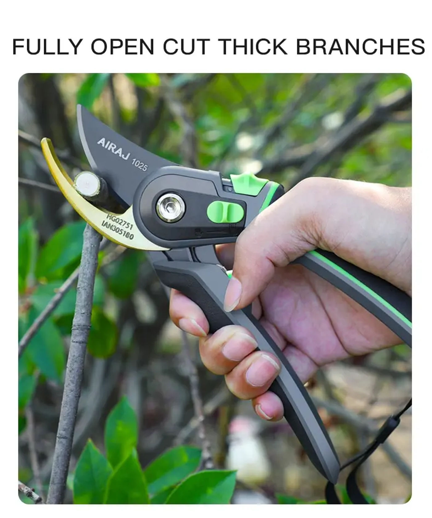 head_title lazy