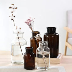 Glass vase home small hydroponic plant glass bottle living room dried flower decoration transparent   WY