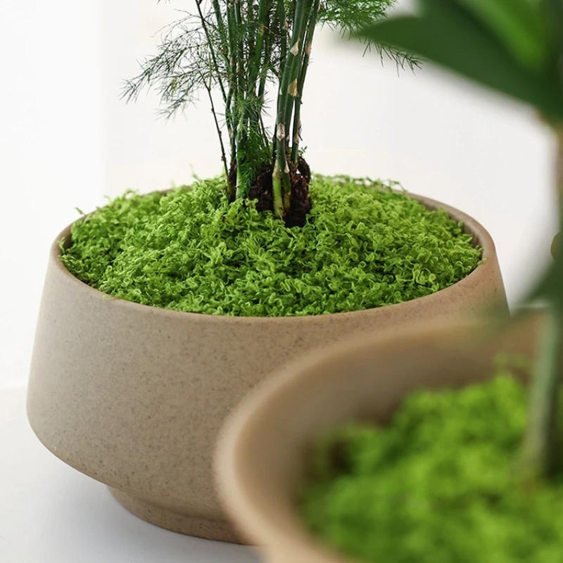 Description Picture 5 of item1pc fake plants home decor Simulated moss turf biomimetic artificial moss micro landscape layout ornaments lawn bonsai