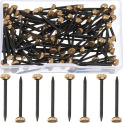 120Pcs Picture Hanging Nails Wall Decorative Nails for Hanging Pictures Frame Kit Hanging Hardware Tool Hangers for Claw