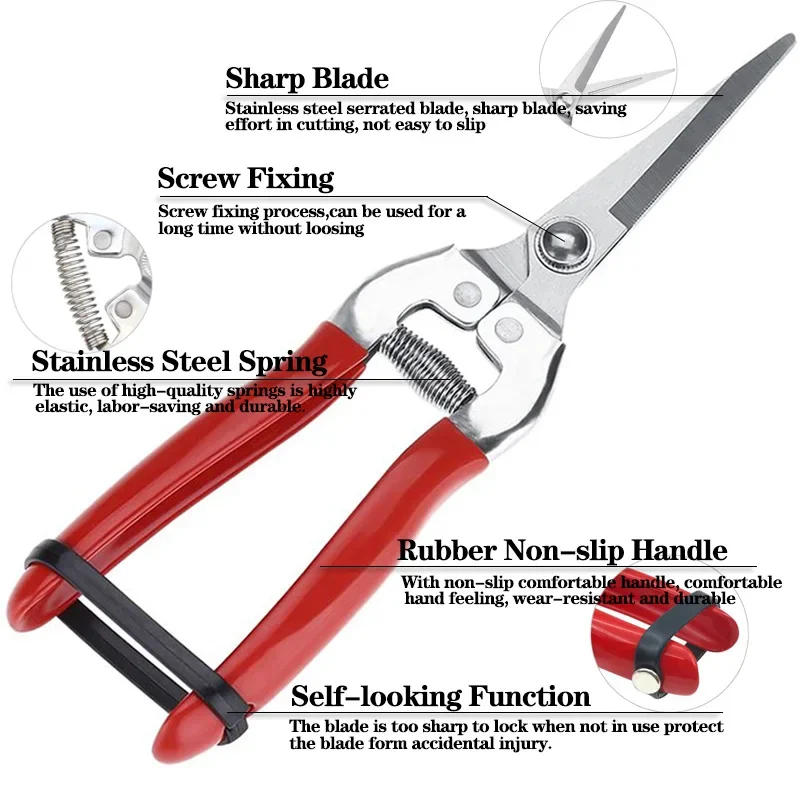 Description Picture 3 of itemGardening Hand Pruner Garden Scissors Pruning Shears Micro-Tip Pruning Snips Leaf Trimmer Straight Florist Scissor For Plants