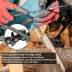 Slide image d7f0edbe82bd4f4aac3cb9349cba53b7