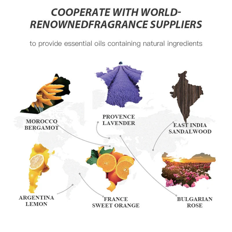 Description Picture 6 of itemNAMSTE 100ML Blooming Bouquet Perfumed  Essential Oil For Humidifier Diffuser  Fragrance Electric Aromatic Oasis Air Freshener