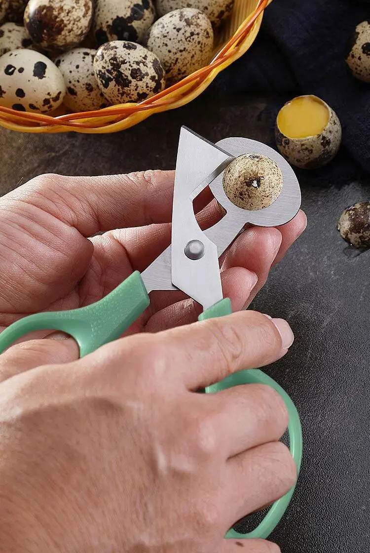 Description Picture 2 of item1pc Eggshell Cutting Scissors - For Quail and Bird Eggs - Easy to Use and Durable, for Egg Opening, Shell Cracking,Egg Splitting